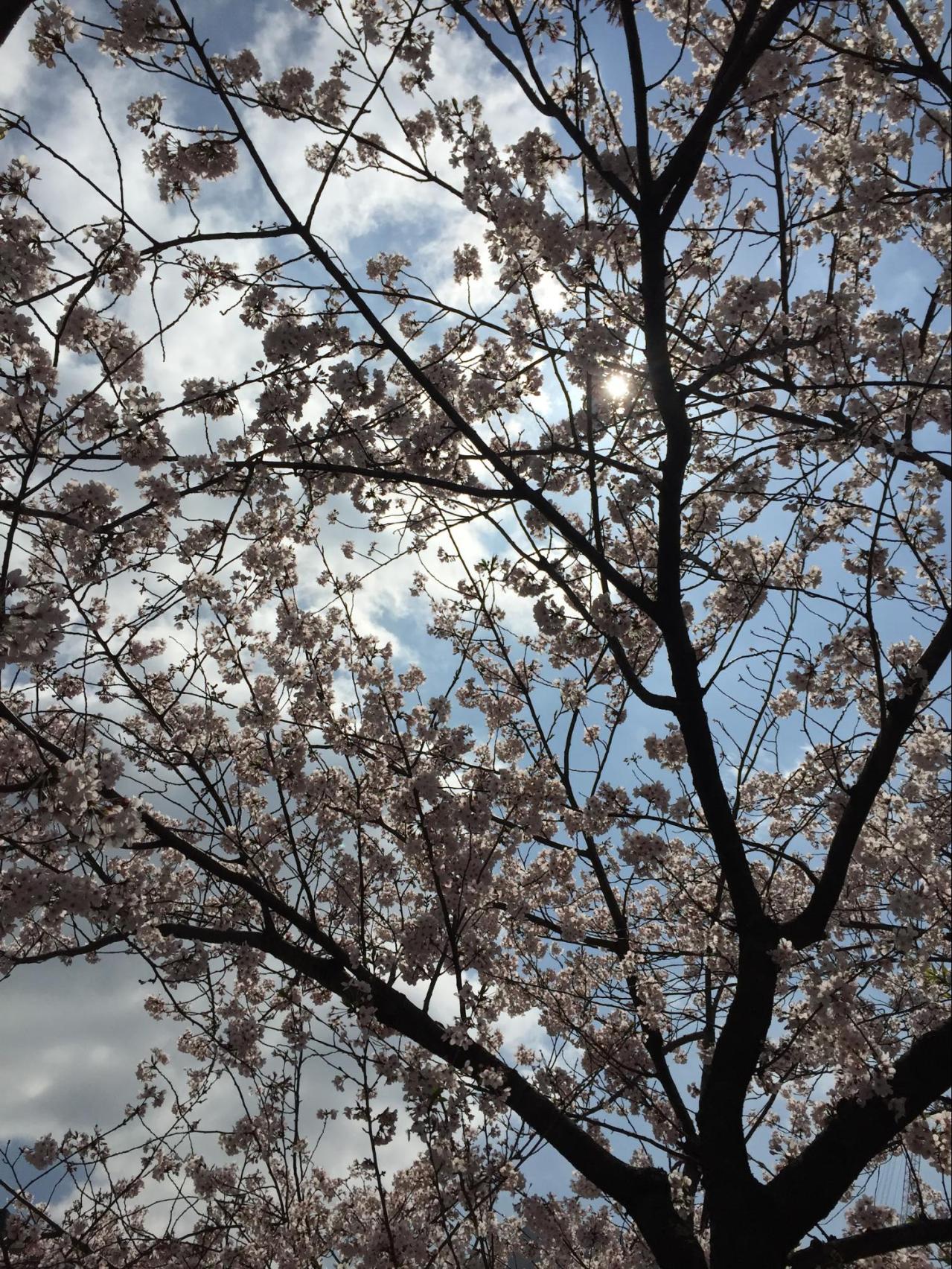 ライターをめざしたきっかけはなんですか?