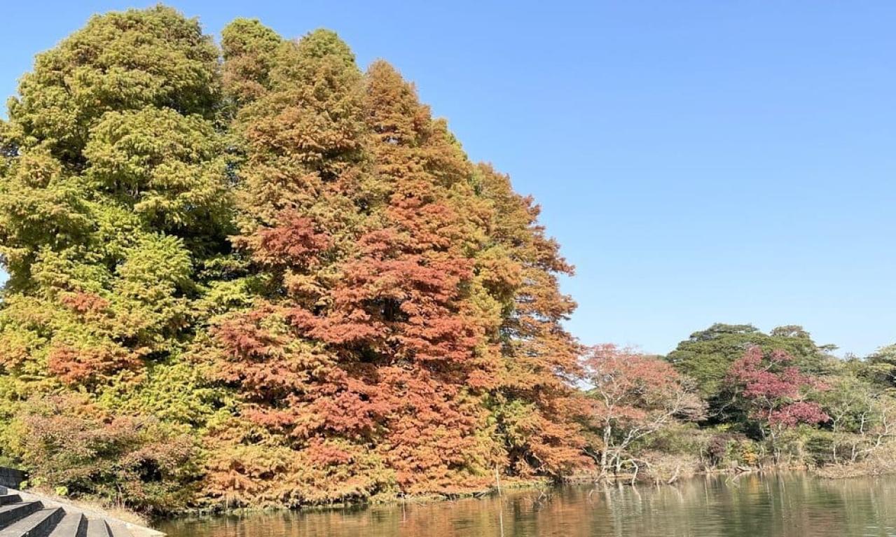 ライターはラクして稼げるわけではない!努力の継続ありきの仕事