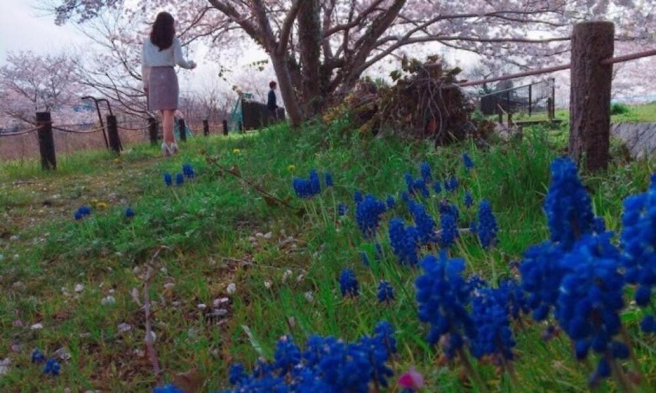 その1.まずは自分の経歴をまとめてみる