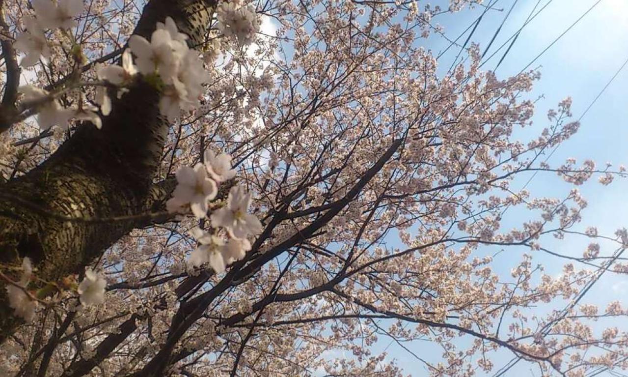 ライターになるために、まず始めたことはなんですか?