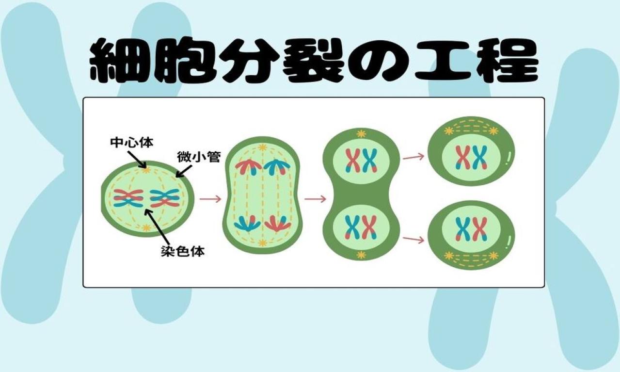 ポイント②:視覚的な要素を活用する