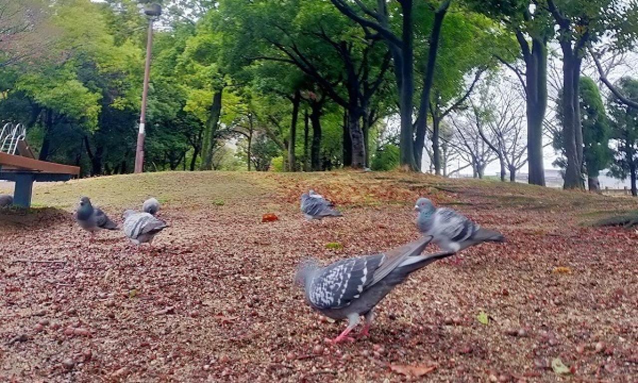 ライターの大変なところ、きついところはどんなところですか?