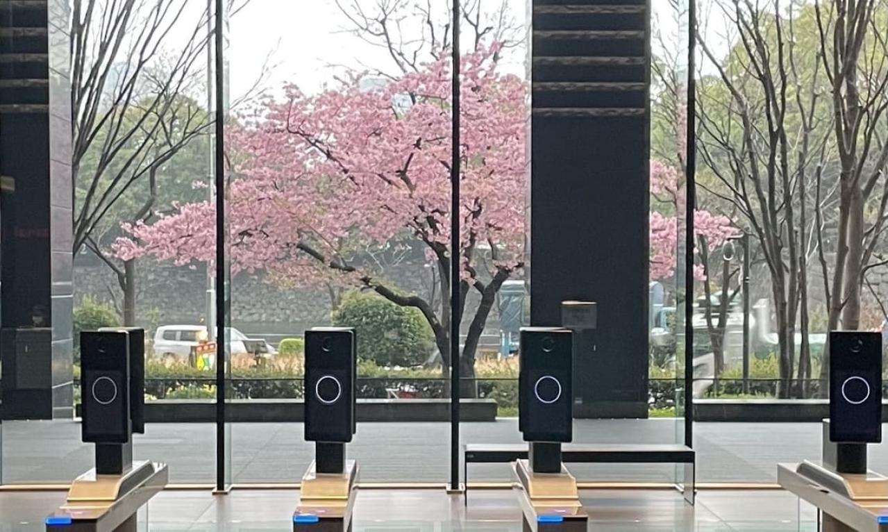 AIと仲良く共存できるライターを目指そう!
