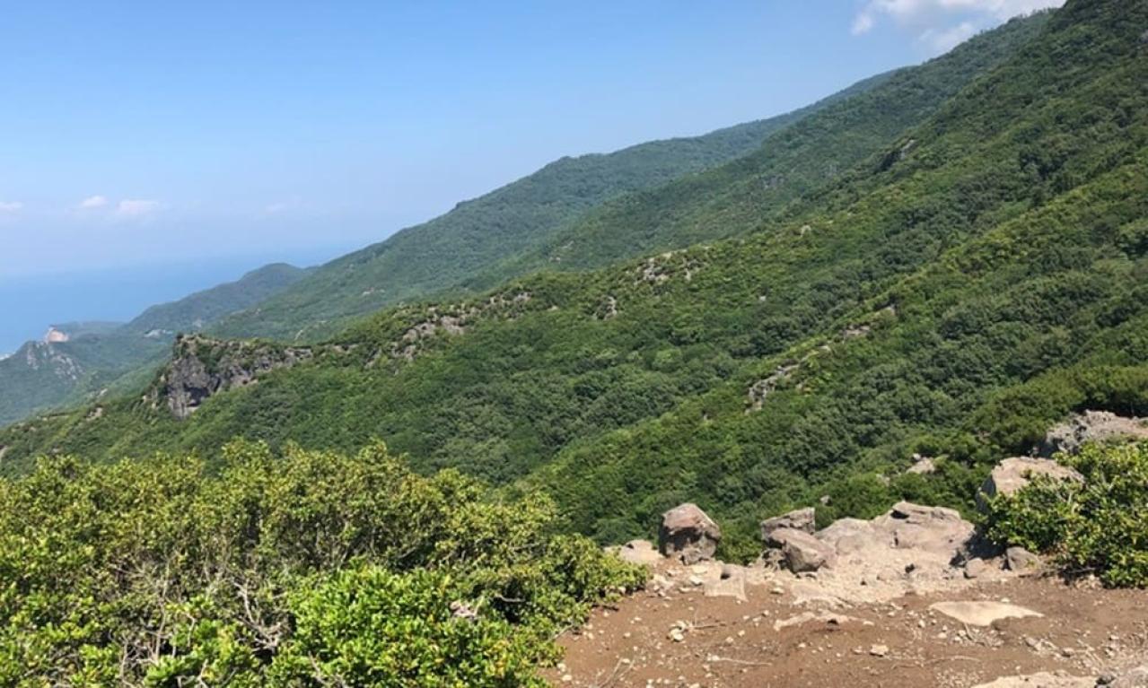 きつい時はどんな風に乗り越えましたか?