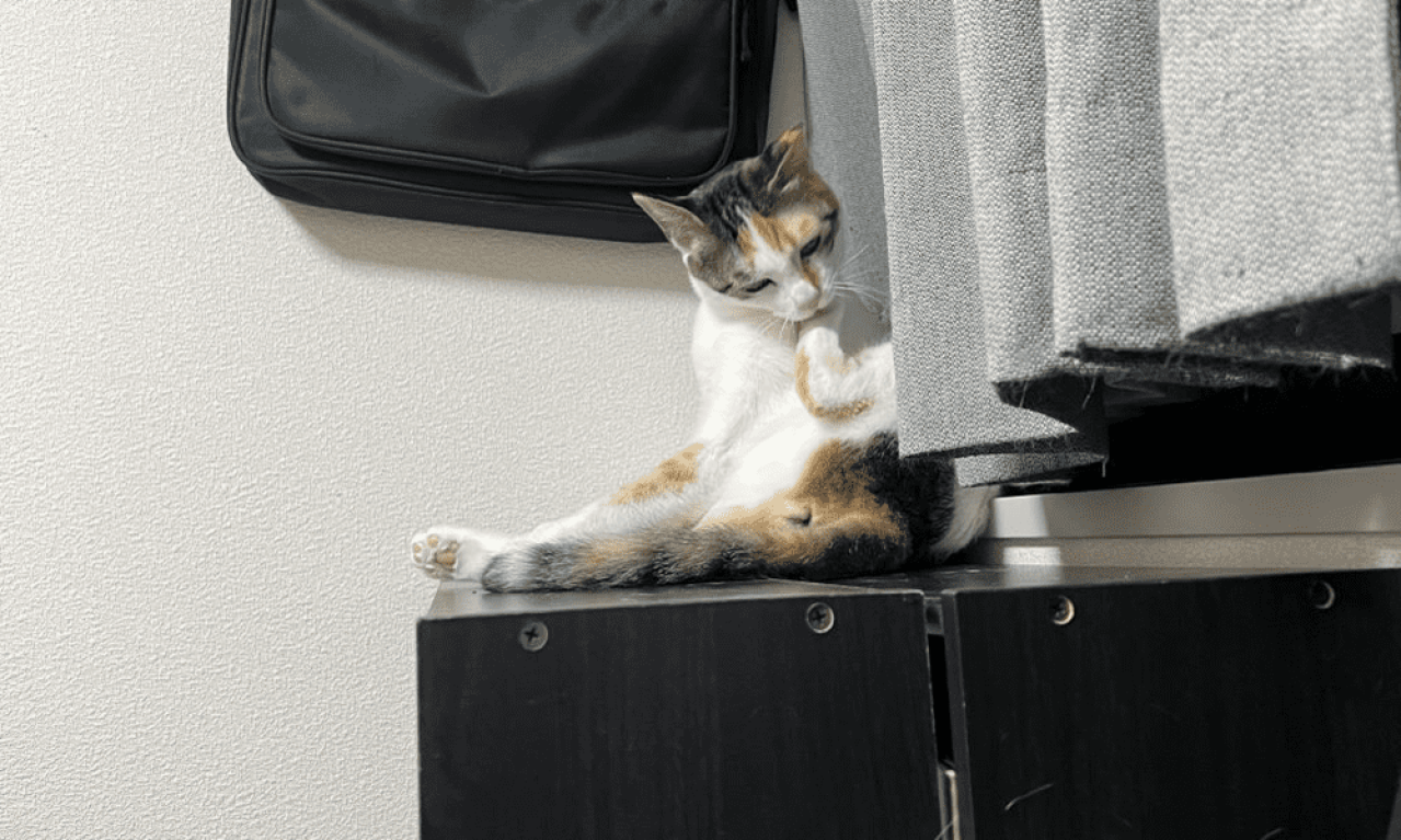 ライターとして大切にしていることは何ですか?