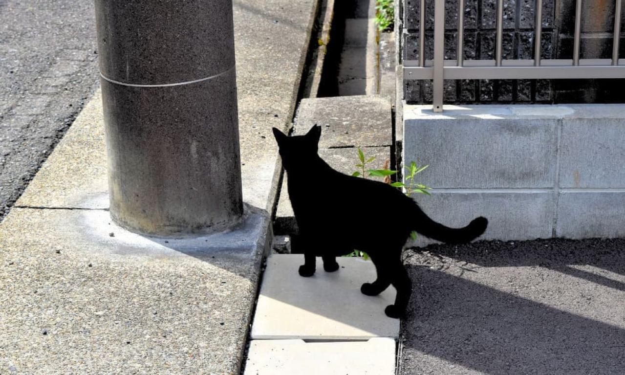ライターをしていて楽しいと感じることは何ですか?