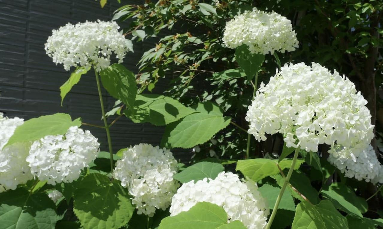 兼業ライター両立の心得|自分の限界値を理解する