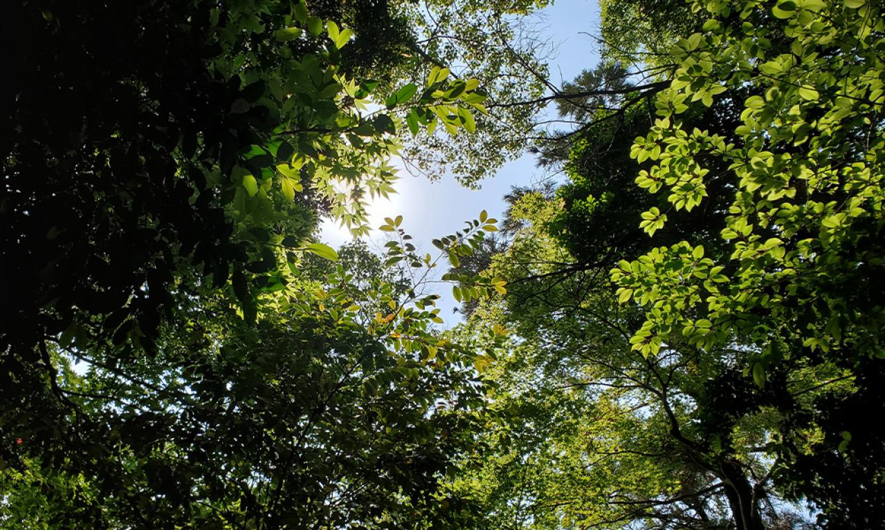 きつい時はどんな風に乗り越えましたか?