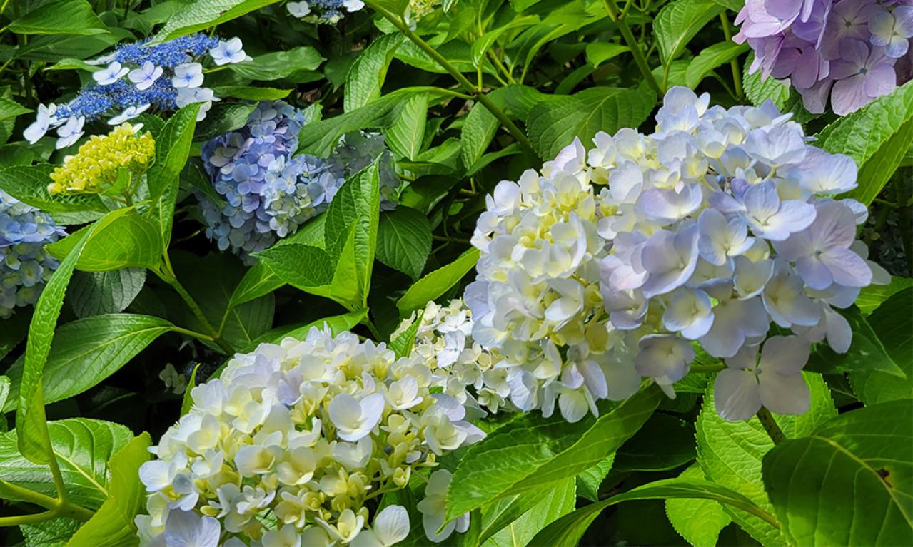ライターになるために始めたことはなんですか?