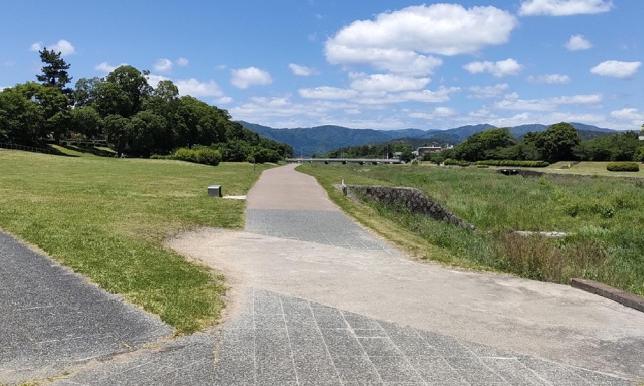 今後の展望をどのように考えていますか?