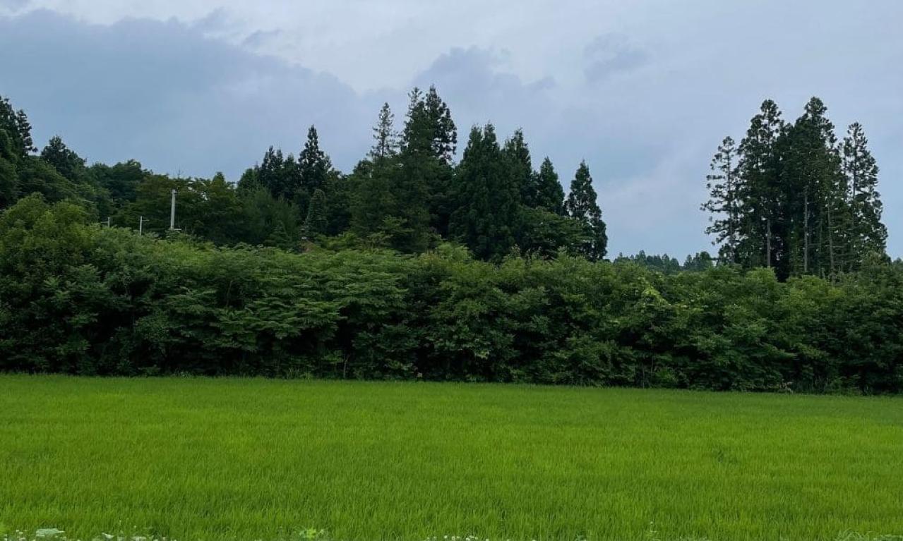 仕事のやりがいや楽しいところはなんですか?