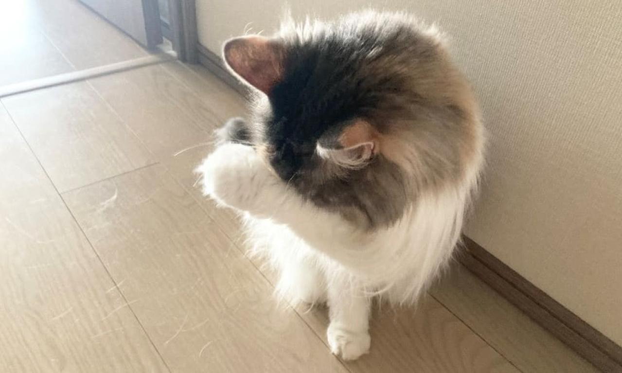 何が人生に影響するか分からない!家の片づけが専業ライターになるきっかけに