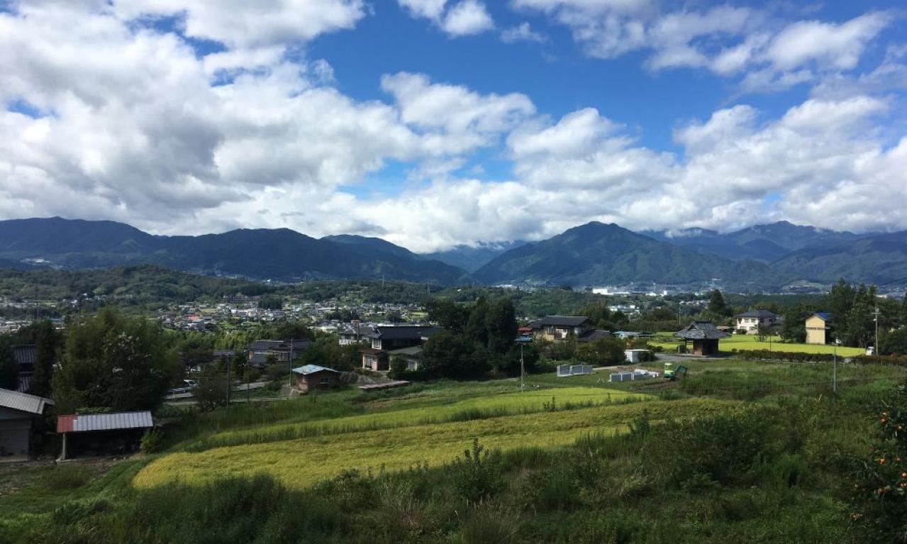 これからの目標は?