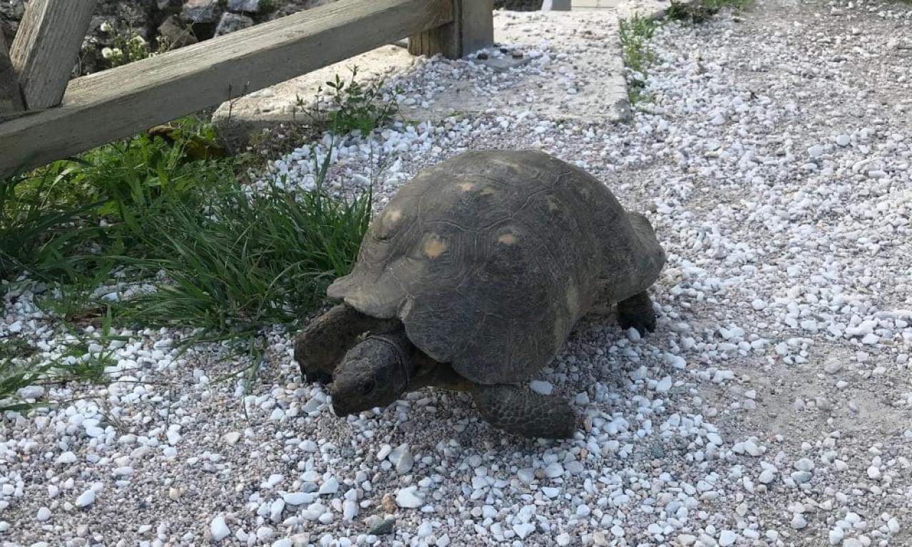 きつい時はどんな風に乗り越えましたか?
