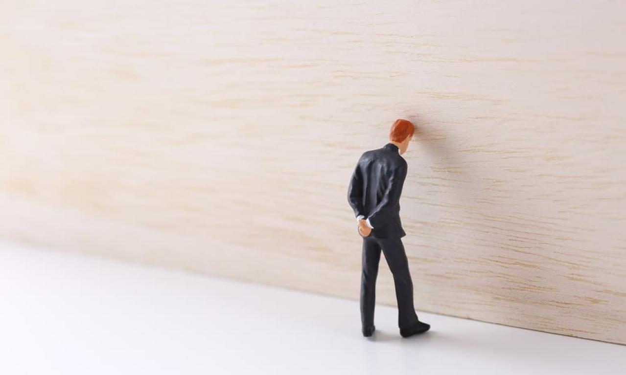 初めての記事の仕事はいかがでしたか?