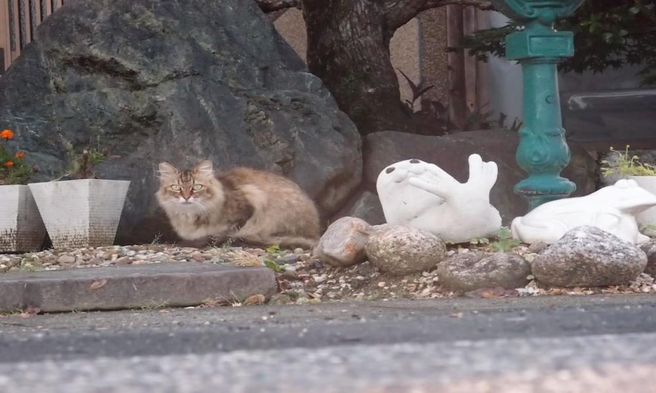 こんなライターになりたい