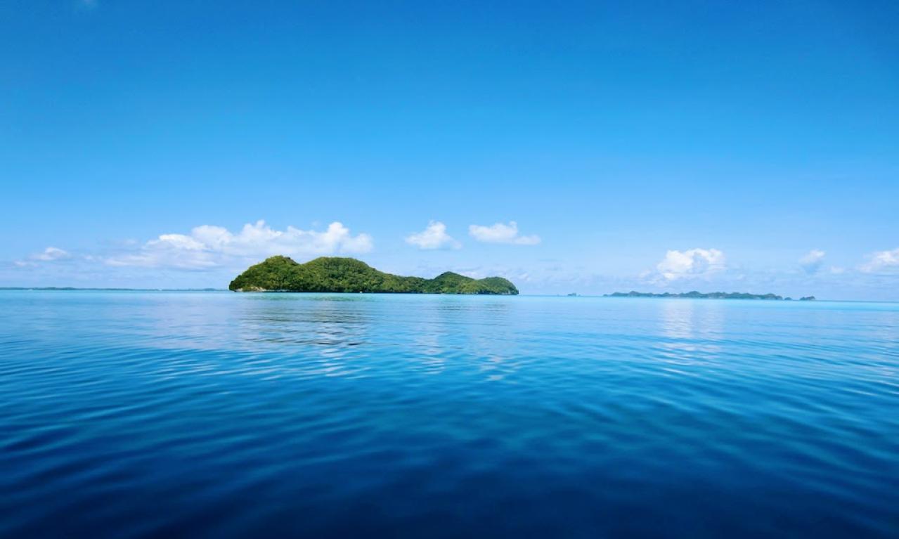 フリーランスになって海外旅行も頻繁に行けるように!画像はパラオの海