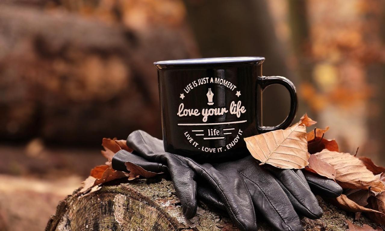 秋の夜長にぴったり！ライターが選ぶ仕事のお供