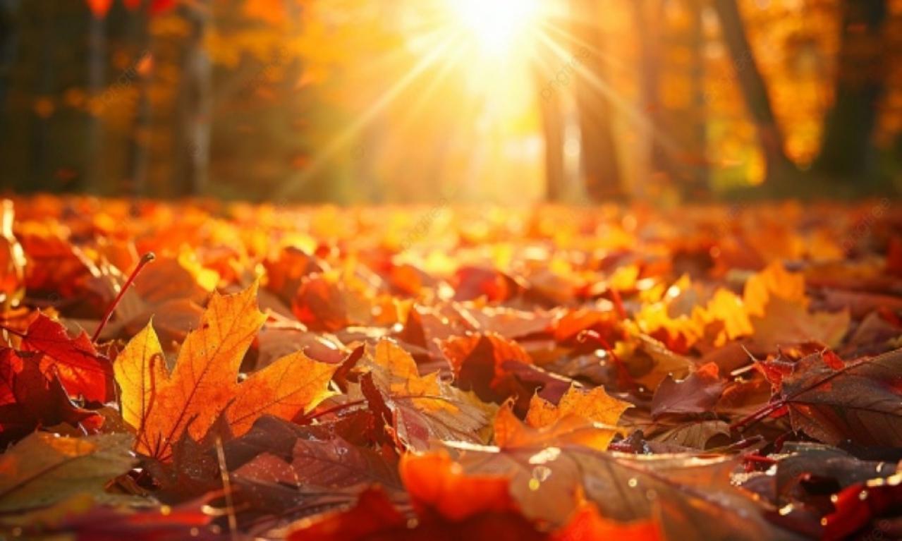 定番表現は悪くない！でも遊び心もあるともっと楽しい